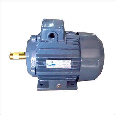 3 Phase Induction Motors