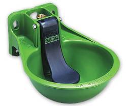 Water Bowl