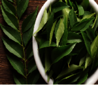 Bay Leaf