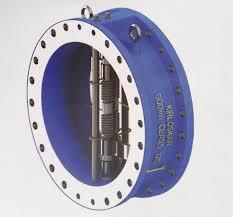 dual plate check valve
