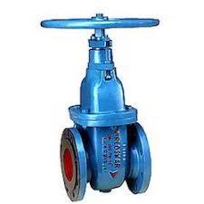 Resilient seated gate valve