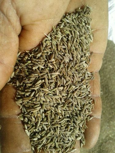 Cumin Seeds