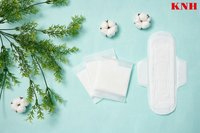 Biodegradable Cotton Sanitary Napkin - Ultra Thin (OEM/ODM)