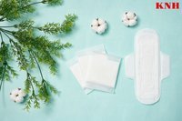Biodegradable Cotton Sanitary Napkin - Ultra Thin (OEM/ODM)