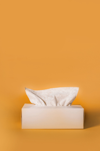 Lalune Facial Puff