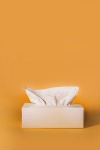 Cotton Tissues (OEM/ODM)