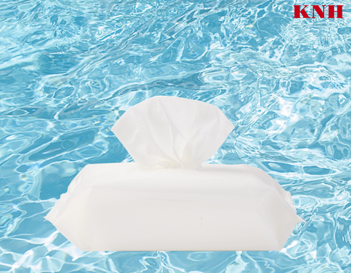Cleaning Wipes (OEM/ODM)