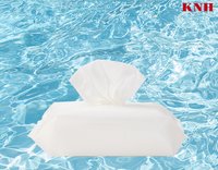 Cleaning Wipes (OEM/ODM)