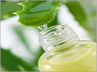 Aloe Vera Herbal Extract