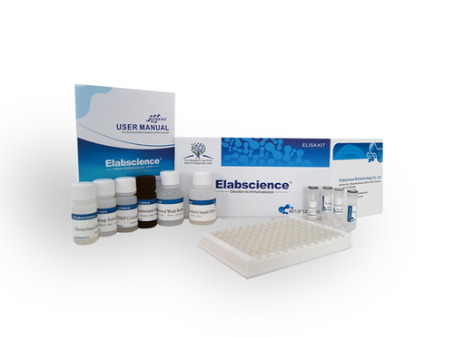 IP3(Inositol Triphosphate) ELISA Kit