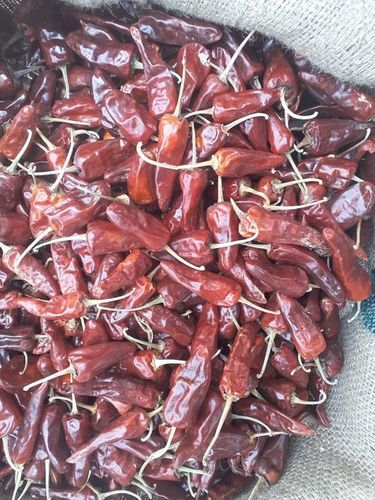 Red Chilli