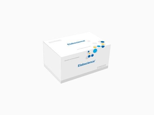 LXB4(Lipoxin B4) ELISA Kit