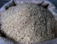 Non Basmati Rice Grade: Premium Grade