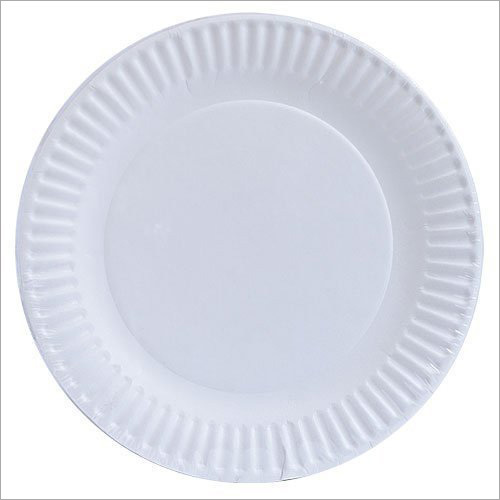 Paper Plate