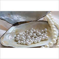 Oyster Pearls