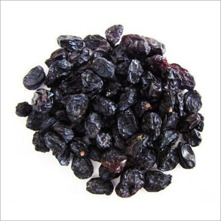 Black Currant Extract