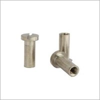 Brass File Bush