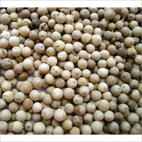 White Pepper
