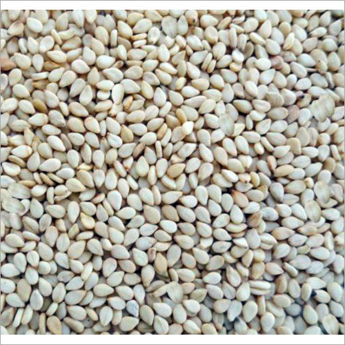 White Sesame Seeds