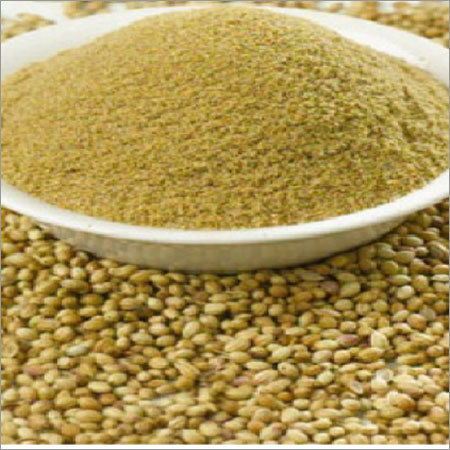 Dhaniya Powder