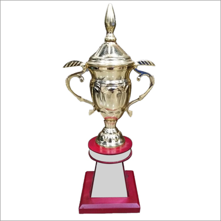 Cricket Tournament Sports Trophies