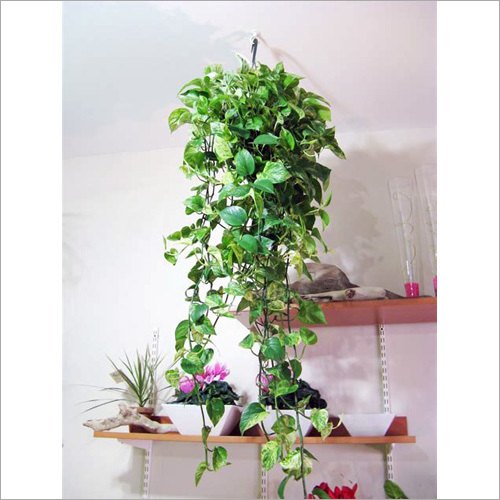 Hanging Basket Artificial Plant