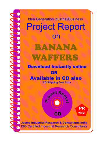 Namkeen Industry Project Reports