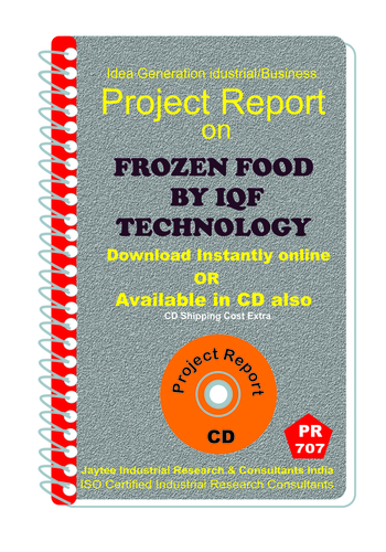 Namkeen Industry Project Reports