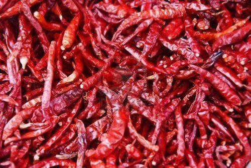 Dry Red Chilli