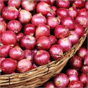 Fresh Red Onion