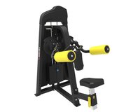 Lateral Raise