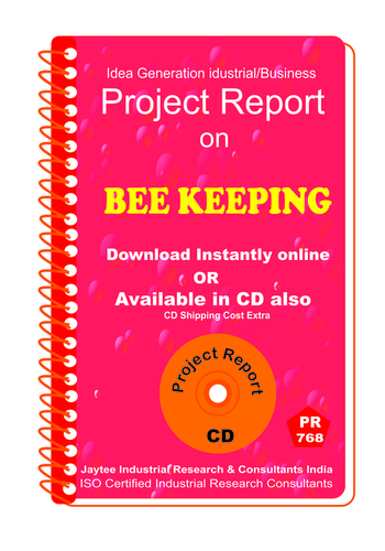 Profitable Project Reports