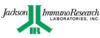 Rabbit Gamma Globulin