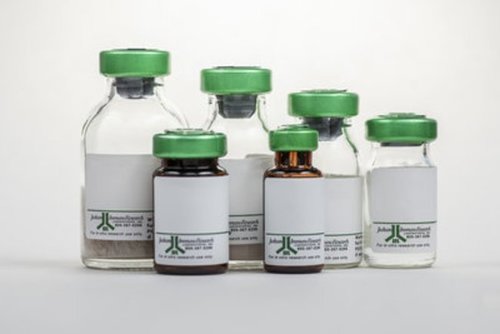 Bovine Serum Albumin (IgG-Free, Protease-Free)