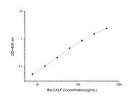 Rat CKLF(Chemokine Like Factor) ELISA Kit