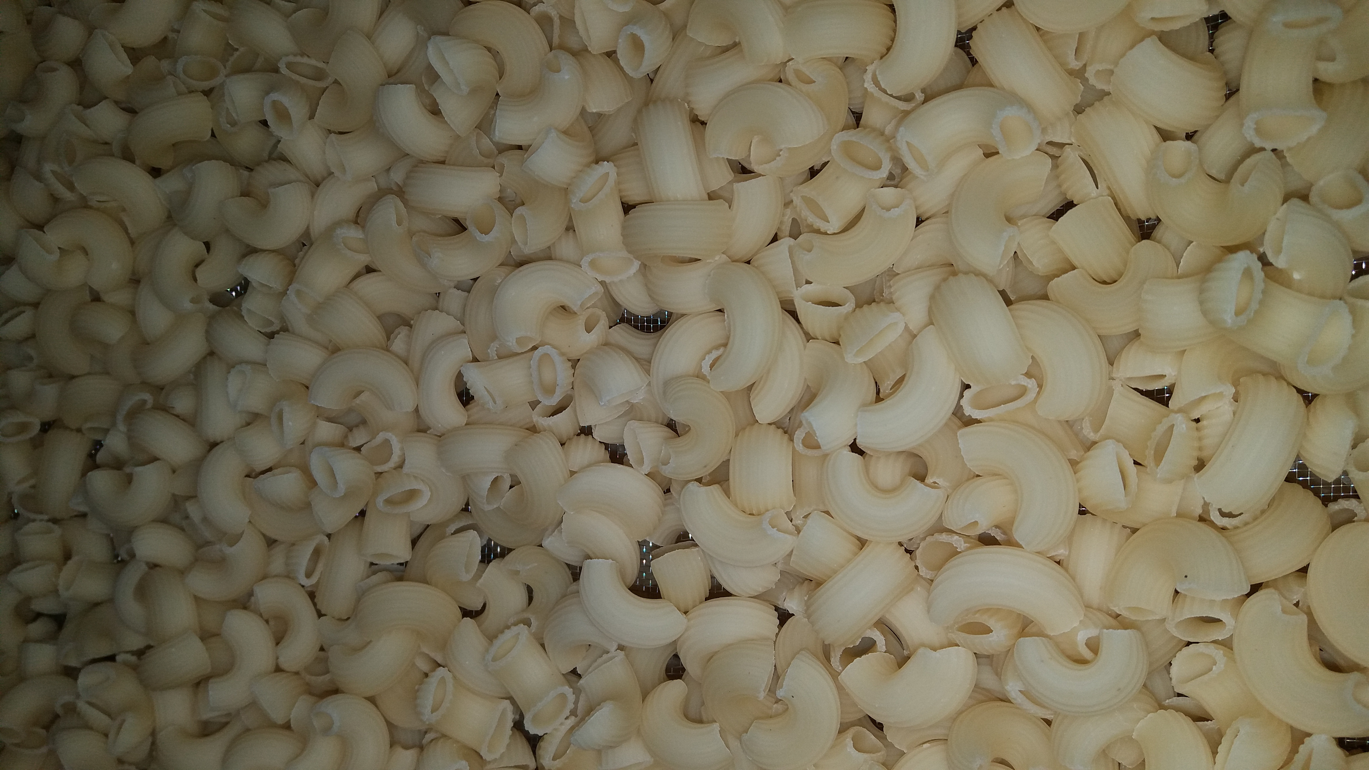Steel Pasta Making Machine 500 Kg/h