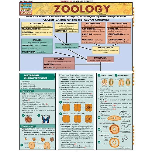 CHART, ZOOLOGY