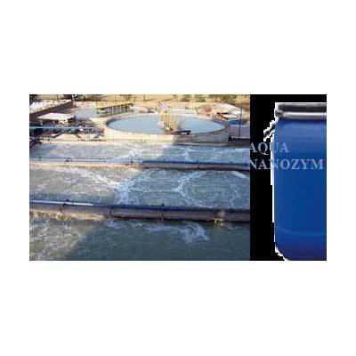 Etp Treatment Through Bio Culture