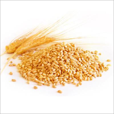 Milling Wheat