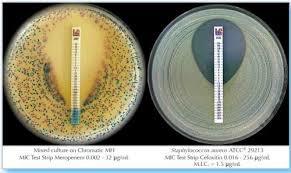 Ampicillin*-sulbactam (2/1)  recommended 0.016 - 256*