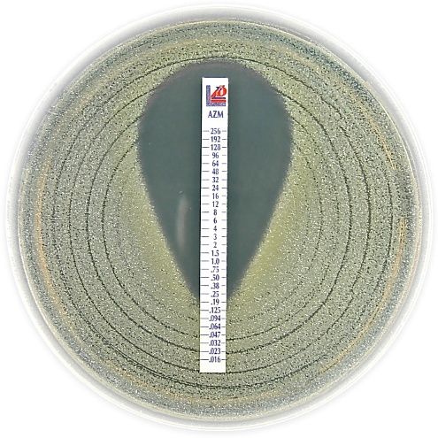 MIC TEST STRIPS Azithromycin 0.016  256 ,Aztreonam 0.064 - 1024