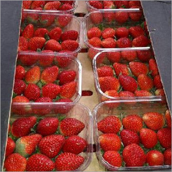Fresh Strawberry