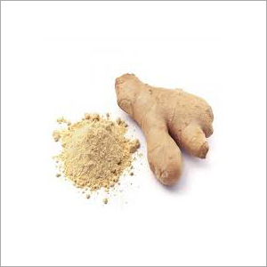 Ginger Powder