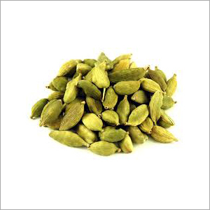Cardamom