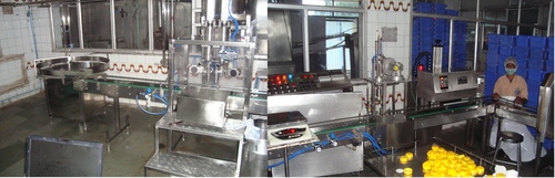 Pet Jar Filling & Capping Machine