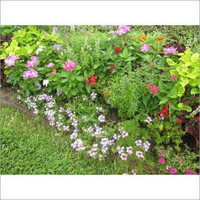 House Garden Fertilizer