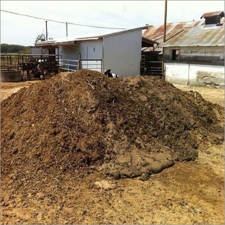 High Quality Buffalo Dung Compost