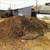 High Quality Buffalo Dung Compost