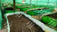 HDPE Vermi Bed