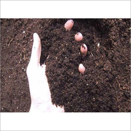 Garden Manure